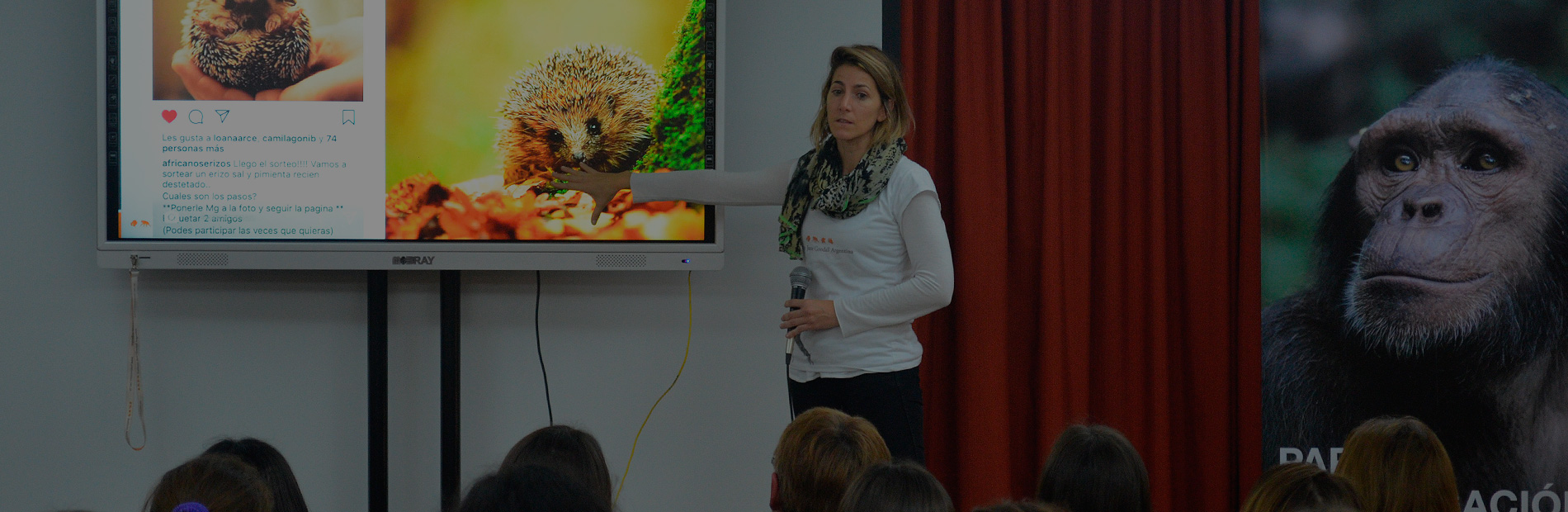 Pagina de Inicio - Instituto Jane Goodall Argentina