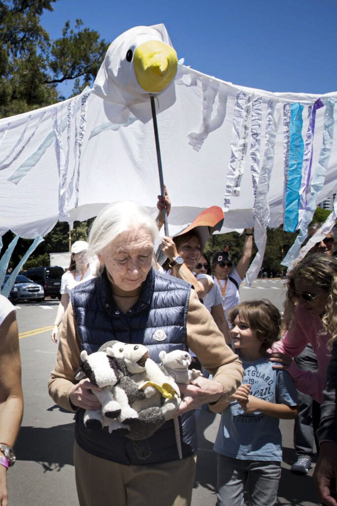 Dia internacional de la paz - Instituto Jane Goodall Argentina