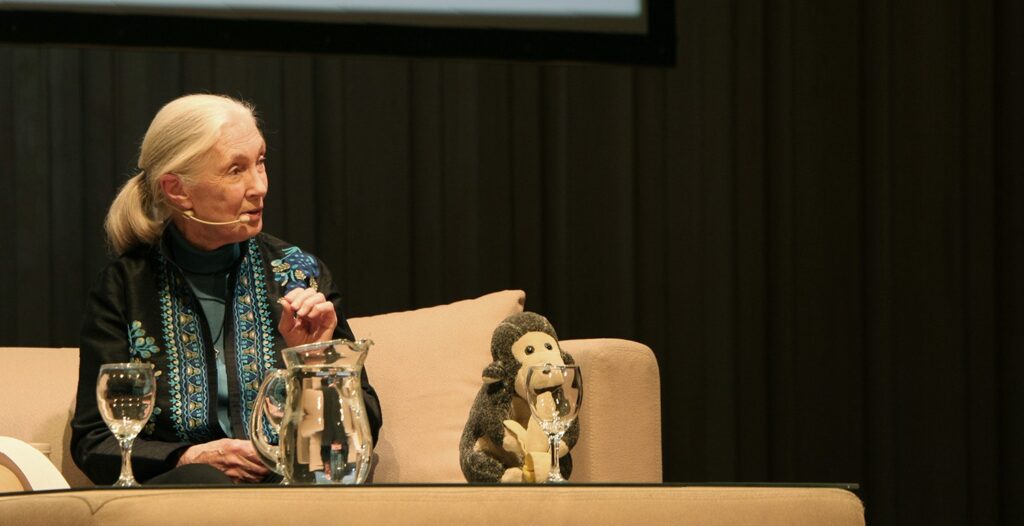 Declaración sobre la COVID-19 - Instituto Jane Goodall Argentina