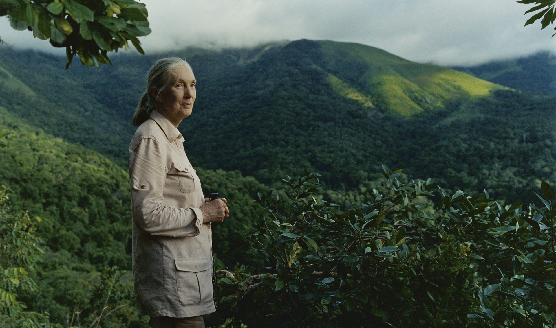 Pagina de Inicio - Instituto Jane Goodall Argentina