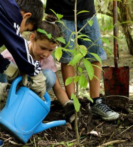 Roots & Shoots - Instituto Jane Goodall Argentina