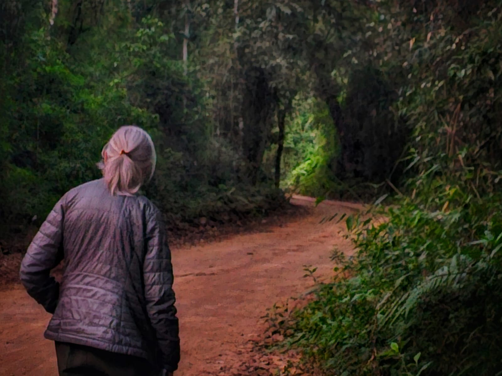 Jane en la Selva Misionera, Argentina